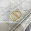Dior Caro Belt Pouch with Chain Bag White 2021