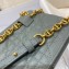 Dior Caro Belt Pouch with Chain Bag Gray 2021
