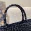 Dior Small Book Tote Bag in Gray Mizza Embroidery 2021
