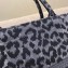 Dior Book Tote Bag in Gray Mizza Embroidery 2021