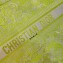 Dior Book Tote Bag in Toile de Jouy Reverse Embroidery Yellow 2021