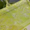 Dior Book Tote Bag in Toile de Jouy Reverse Embroidery Yellow 2021