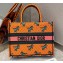 Dior Small Book Tote Bag in Multicolor Dragon & Fire Embroidery Orange 2021