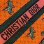 Dior Small Book Tote Bag in Multicolor Dragon & Fire Embroidery Orange 2021