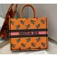 Dior Book Tote Bag in Multicolor Dragon & Fire Embroidery Orange 2021