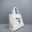Prada Shearling Tote Bag 1BG130 White 2021