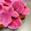 Hermes Shearling Woolskin Oran Sandals Fuchsia 2021