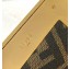 Fendi First Medium Python Leather Bag Coffee 2021