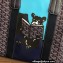 Goyard Villette Tote Bag Dark Blue