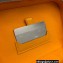Goyard Muse Vanity Case Bag Yellow
