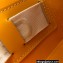 Goyard Muse Vanity Case Bag Yellow