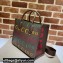 Gucci 100 Small Tote Bag 680956 Brown Leather 2021