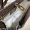 Gucci 100 Small Tote Bag 680956 Brown Leather 2021