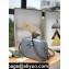 Gucci Aria Collection GG Marmont Small Shoulder Bag 447632 Grey 2021