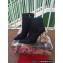 Dolce & Gabbana Heel 10.5cm Leather Ankle Boots Suede Black with DG Pop Heel 2021