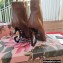 Dolce & Gabbana Heel 10.5cm Leather Ankle Boots Brown with Black Metal DG Heel 2021