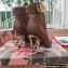 Dolce & Gabbana Heel 10.5cm Leather Ankle Boots Brown with Baroque DG Heel and Strap 2021