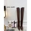 Amina Muaddi Clear Heel 9.5cm Leather Thigh-High Boots Coffee 2021