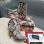 Dolce & Gabbana Thin Heel 10.5cm Leather Ankle Boots Snake Print Gray with Baroque DG Heel 2021