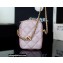 Chanel Pearl Calfskin Vertical Camera Bag AS2857 in Original Quality Pink 2021
