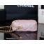 Chanel Pearl Calfskin Vertical Camera Bag AS2857 in Original Quality Pink 2021