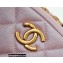 Chanel Pearl Calfskin Vertical Camera Bag AS2857 in Original Quality Pink 2021