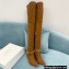 Balmain Okt Chain Detail Thigh-high Boots Suede Brown 2021