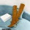 Balmain Heel 9.5cm Nelly Thigh-high Boots Suede Brown 2021