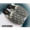 Dior Mink Fur Oblique INDIOR Mules Gray 2021