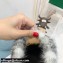 Dior Mink Fur Oblique INDIOR Mules Gray 2021