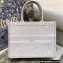 Dior Small Book Tote Bag in Oblique Embroidery Pale Pink 2021