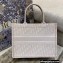 Dior Small Book Tote Bag in Oblique Embroidery Pale Pink 2021