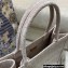 Dior Small Book Tote Bag in Oblique Embroidery Pale Pink 2021