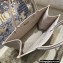 Dior Small Book Tote Bag in Oblique Embroidery Pale Pink 2021