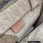 Dior Small Book Tote Bag in Oblique Embroidery Pale Pink 2021