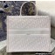 Dior Book Tote Bag in Oblique Embroidery Pale Pink 2021