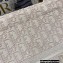 Dior Book Tote Bag in Oblique Embroidery Pale Pink 2021