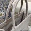 Dior Book Tote Bag in Oblique Embroidery Pale Pink 2021