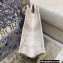 Dior Small Book Tote Bag in Toile de Jouy Embroidery Pale Pink 2021