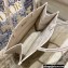 Dior Small Book Tote Bag in Toile de Jouy Embroidery Pale Pink 2021