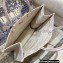 Dior Book Tote Bag in Toile de Jouy Embroidery Pale Pink 2021