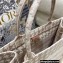 Dior Small Book Tote Bag in Houndstooth Embroidery Pale Pink 2021