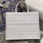 Dior Book Tote Bag in Houndstooth Embroidery Pale Pink 2021