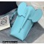 Loewe Elephant Pocket Bag in Classic Calfskin Sky Blue