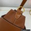 Celine STRAP BOX Bag Brown in Smooth calfskin
