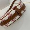 Celine Mini Ava Bag Pink in Triomphe Canvas and Calfskin