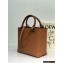 Loewe Small Anagram Tote Bag in Classic Calfskin Brown