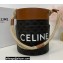 Celine Bucket Bag Tan in Triomphe Canvas and Calfskin