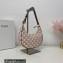 Celine Medium Ava Bag Pink in Triomphe Canvas and Calfskin