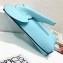 Loewe Elephant Pocket Bag in Classic Calfskin Sky Blue